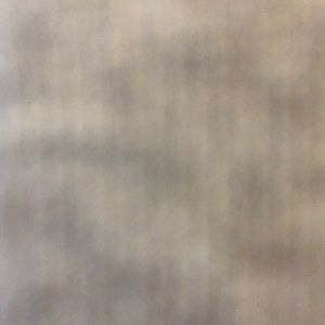 Meet your Posher, Charlotte